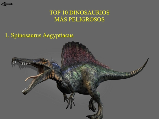 Tops Curiosos/Dinosaurios[1] screenshot